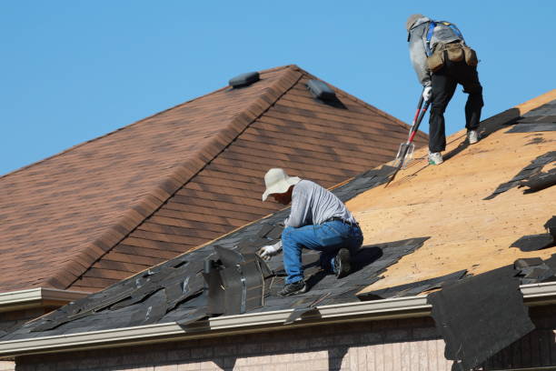 Best Asphalt Shingles Roofing  in Lake Lorraine, FL